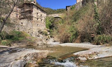 Beget